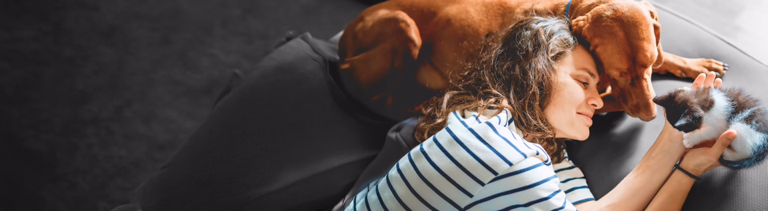Pet Insurance page hero image